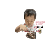 550668313