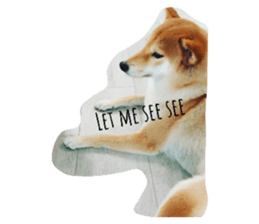 550668696