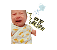 550708667