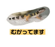 550724201