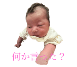 550737478