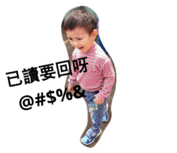 55075187