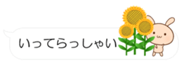 55076142