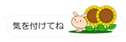 55076144