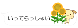 55076190