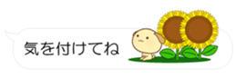 55076192