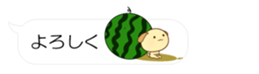 55076215