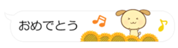 55076216