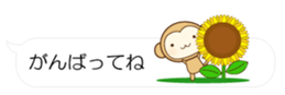 55076354