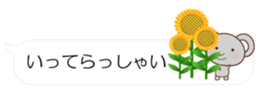 55076406
