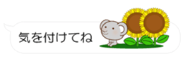 55076408