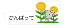 55076411