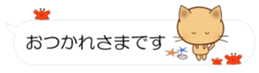 55077051