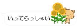 55077054