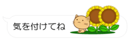 55077056