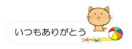 55077062