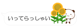 55077182