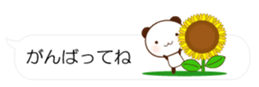 55077186