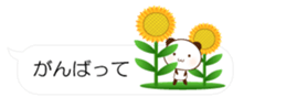 55077187