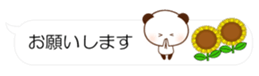 55077205