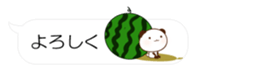 55077207