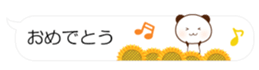 55077208