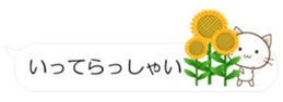 55077238