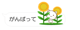 55077243