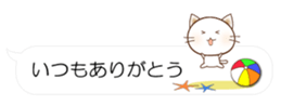55077246