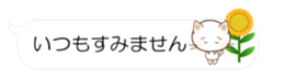 55077249