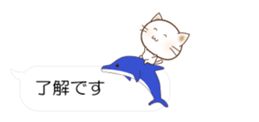 55077251