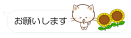 55077261