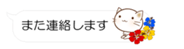 55077268