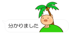 55077294
