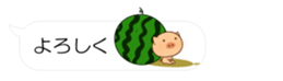 55077303
