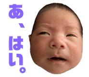 550784988