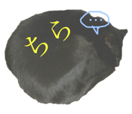 550806735