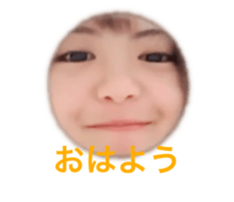 550806864