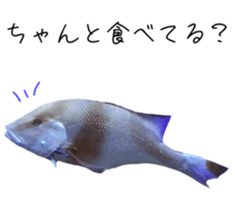 550822458