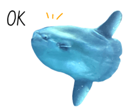 550847406