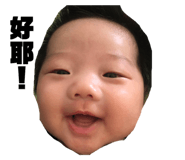 55087138