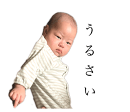 550886519