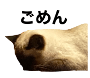 550890123