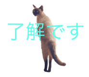 550890139