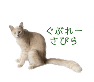 550890150