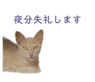 550890155
