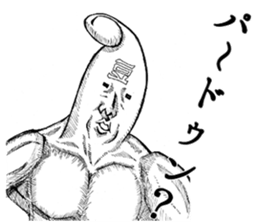 5508981