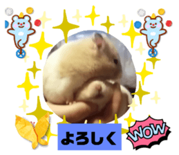 550899254