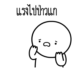 ลายที่ 23