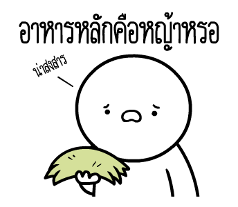 ลายที่ 31